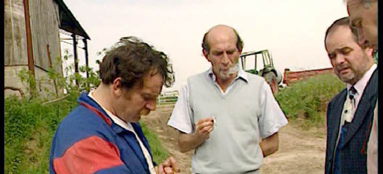 Néness fait du foin